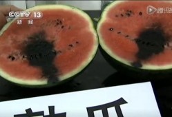 52吃瓜爆料免费吃瓜视频,免费畅享热门吃瓜视频盛宴